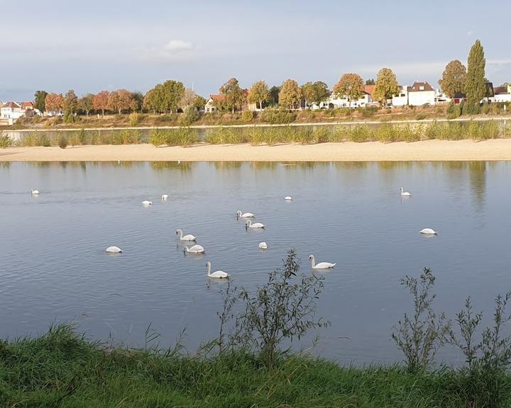 Zur Rheinfahre